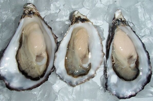 Oysters to improve men's health