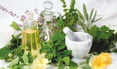 Folk remedies to increase potency